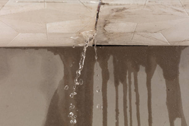 Professional Burst Pipe Cleanup technician working in Pegram, TN
